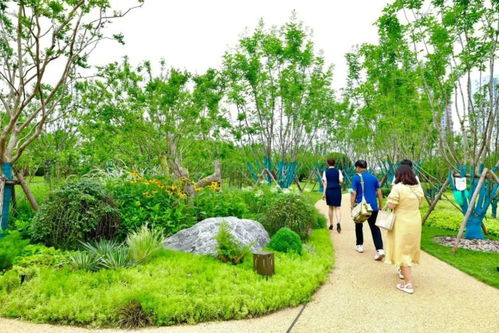 一條名為“幸?！钡牡缆?串起西安綠色長廊的樹木種植經營