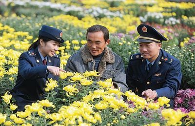 譙城工商積極引導農民轉型，花木種植經營成致富新路徑