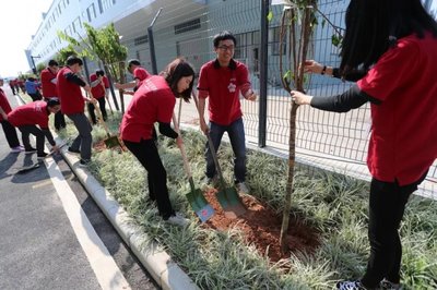 以環保產品為生命線，打造環境友好型農副產品銷售企業