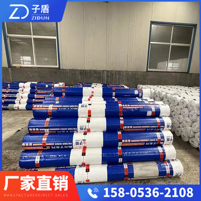 子盾建筑防水卷材產(chǎn)品銷售策略與市場前景分析
